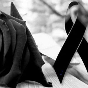 Meet your Posher, Nieves